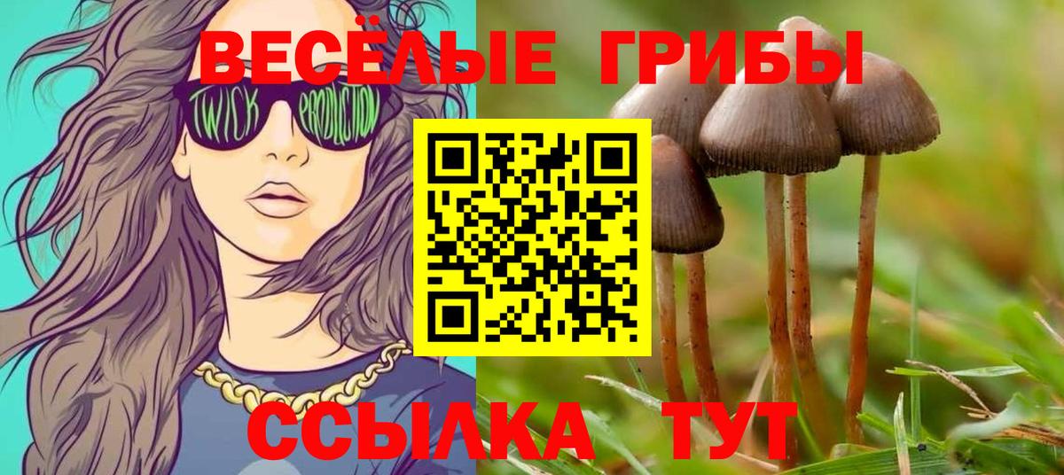 Псилоцибиновые грибы Cubensis Ефремов