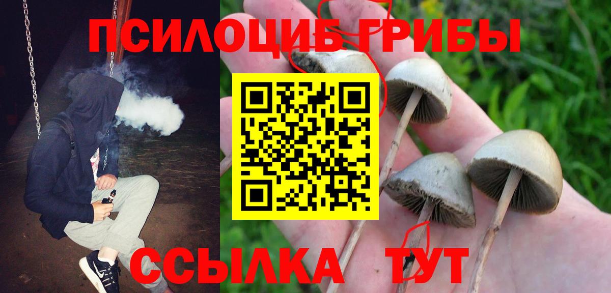 Галлюциногенные грибы Cubensis  где продают   Вход с VPN  Ефремов  Псилоцибиновые грибы мицелий 